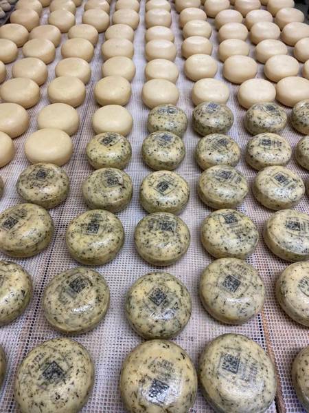 Strandurlaub Callantsoog LekkerNaarZee